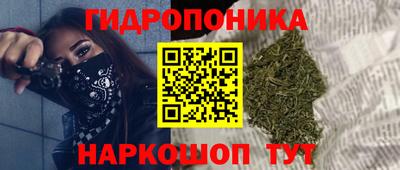 ECSTASY Заводоуковск