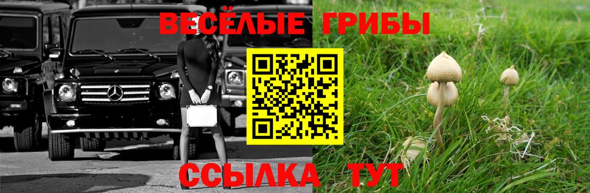 Магнитогорск  Псилоцибиновые грибы мицелий  Галлюциногенные грибы Psilocybine cubensis  Вход с VPN 
