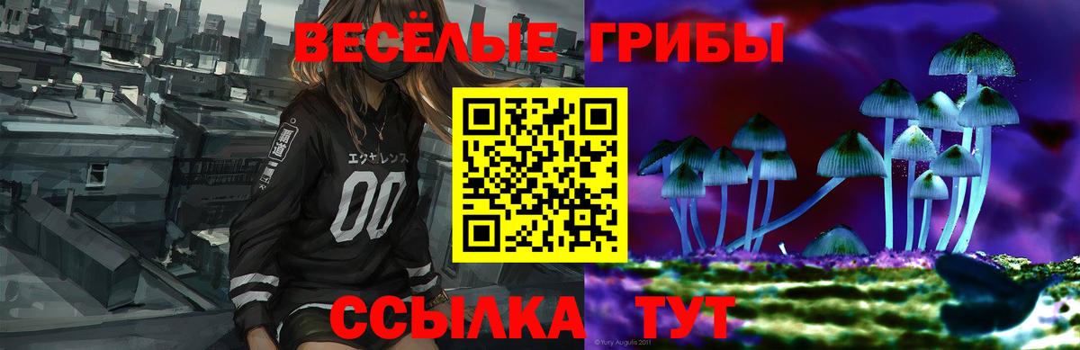 Галлюциногенные грибы GOLDEN TEACHER Магнитогорск
